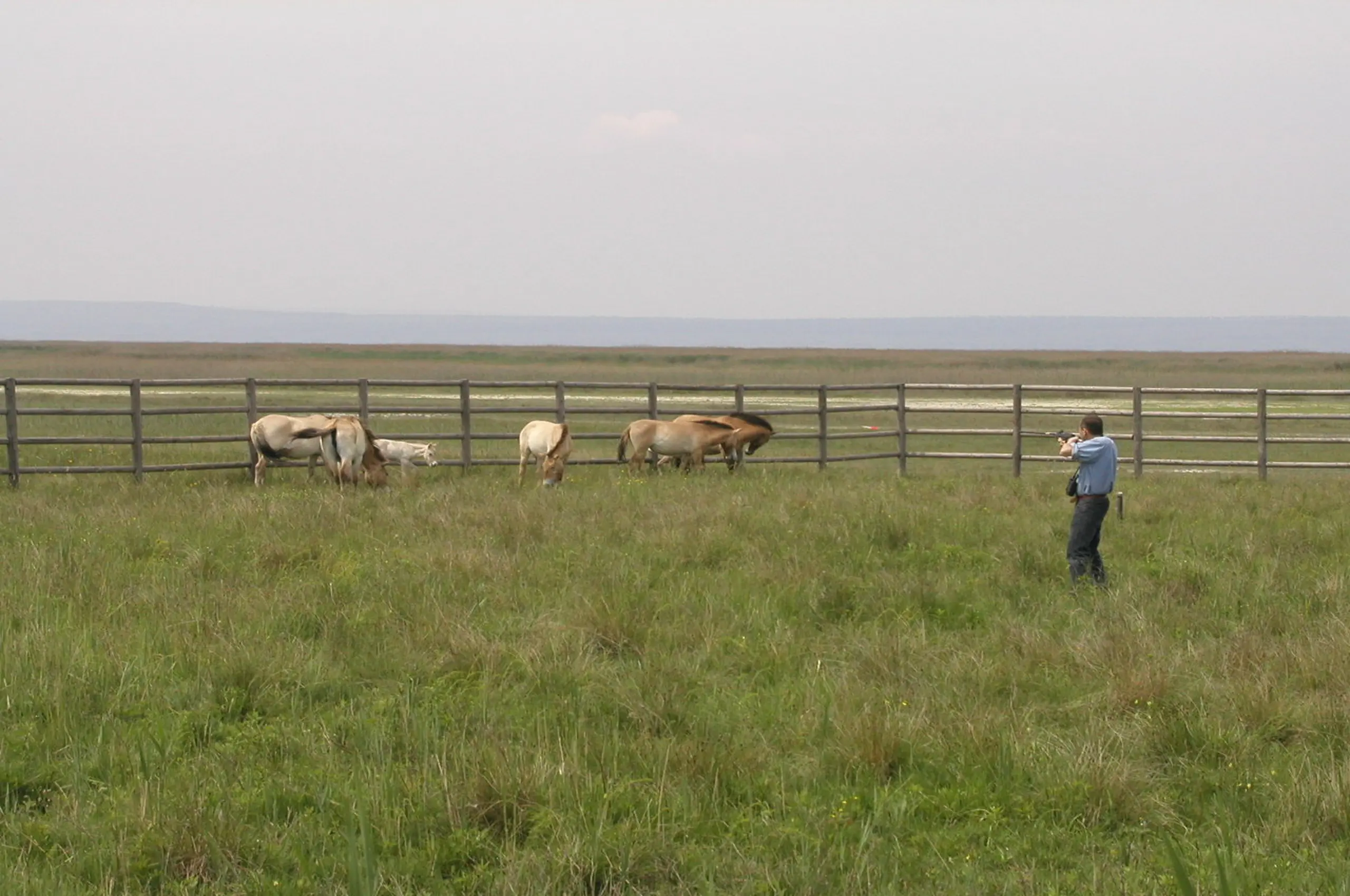 /service/gallery/Fliegender Pfeil.jpg